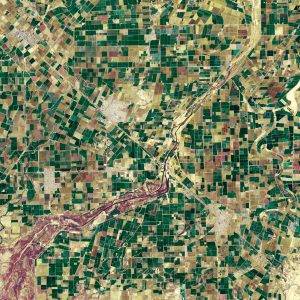 Aerial photo of crops