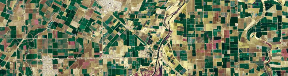 Aerial photo of crops