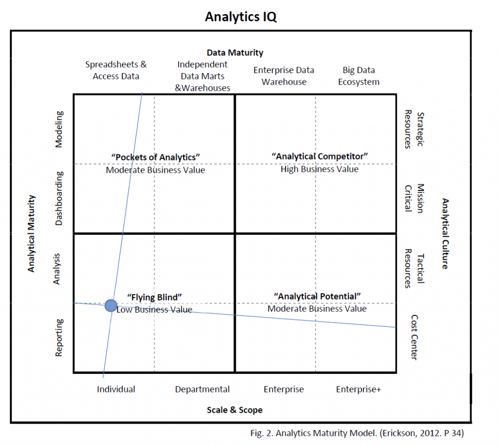 Ericksons Analytics IQ matrix